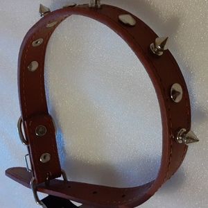BOMEL BROWN PET COLLAR WITH SILVER STUD